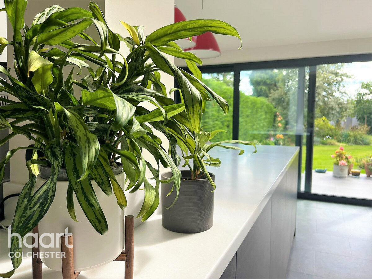 4 bedroom Detached house Glen Avenue, Colchester £700,000 haart