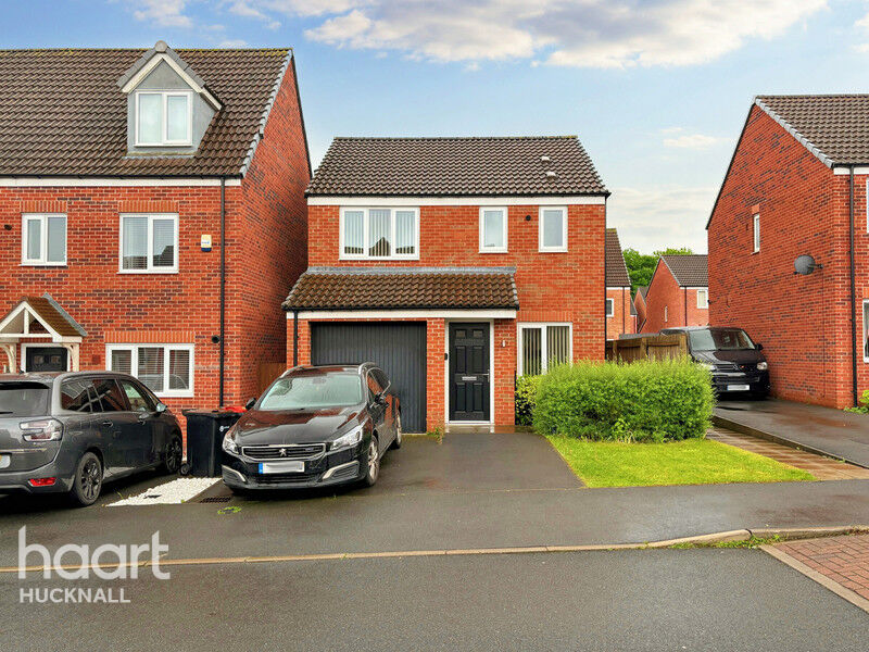 Detached Houses For Sale In Commonside, Ashfield haart